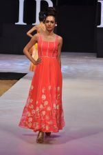 Model walk the ramp for Neeta Lulla Show at IRFW 2012 Day 2 in Goa on 29th Nov 2012 (25).JPG